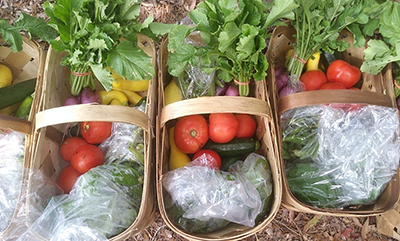 Baskets prepared for delivery to CSA members